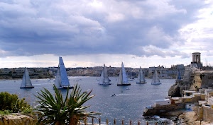 nuvole, barche, vele, mare, piante, porto, acqua, cielo, case, città, pianta, verde, golfo, vela, azzurro, imbarcazioni, regata