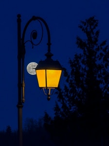 lampione, luna, giallo, notte, albero, luce