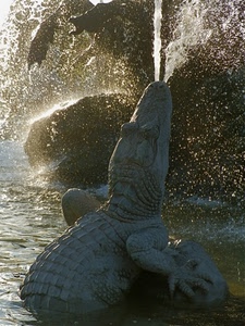 coccodrillo, fontana, acqua, spruzzi, zampillo, statua, gocce, getto, controluce, scultura, zampe, zampilli, zampa
